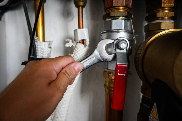 Best Affordable Plumber Near Me  in Newton, IA